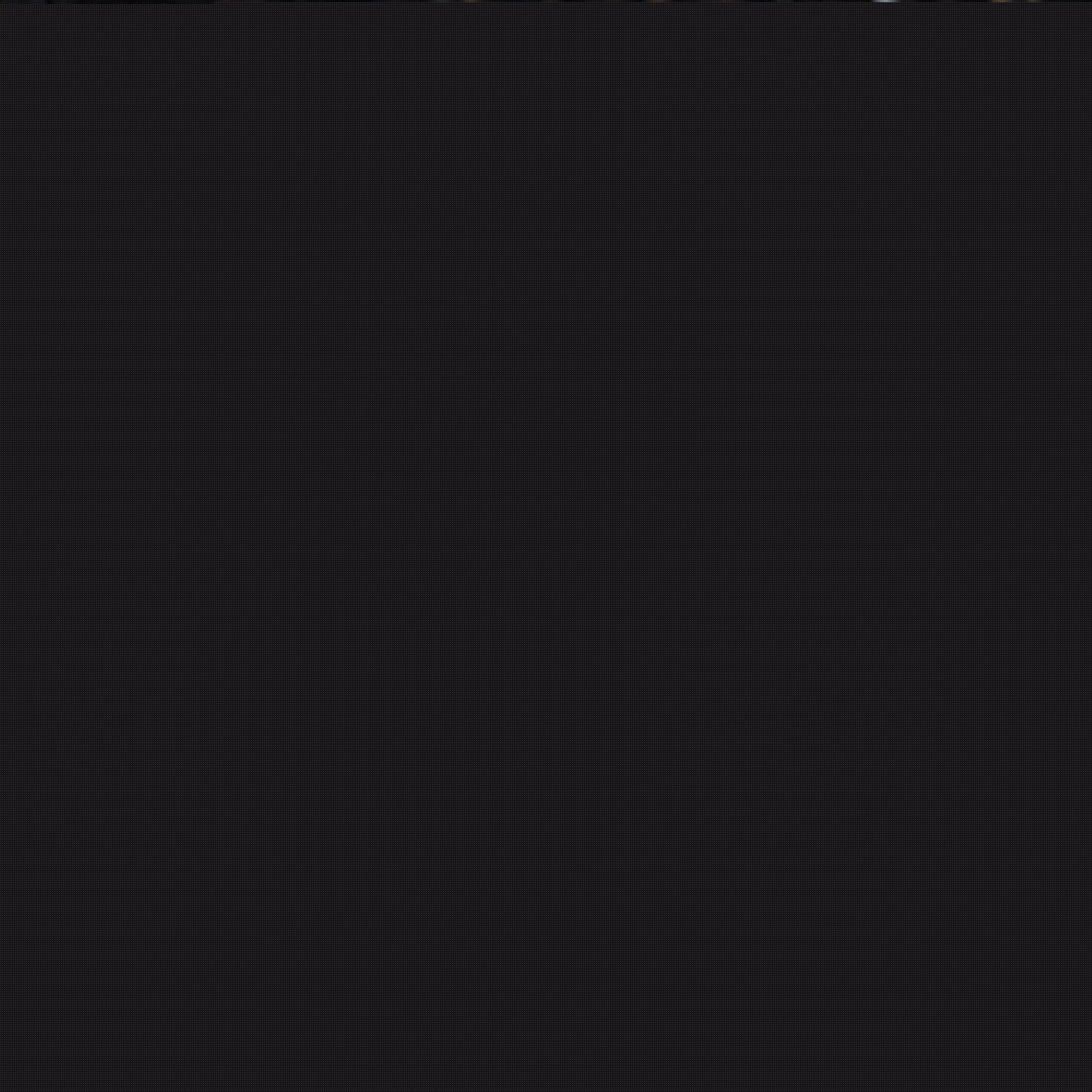 迎战莱斯特