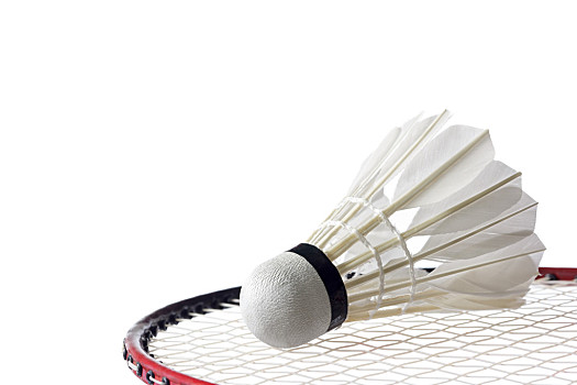 伊万科维奇：沙特是热门，但我们将竭尽全力实现梦想.